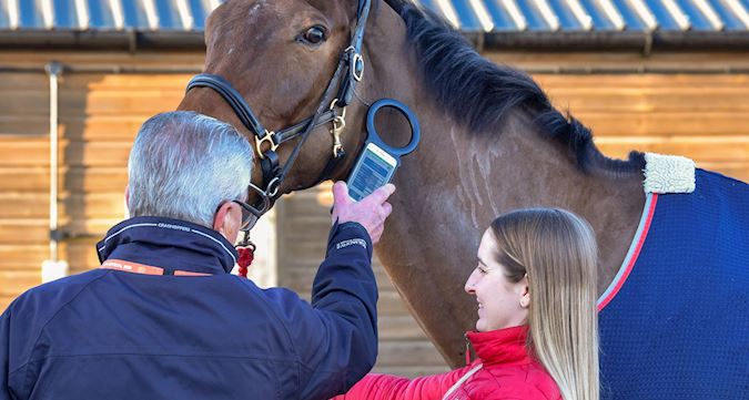 Horse Welfare at Aintree Racecourse