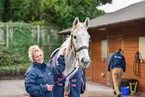 031222-GBR Aintree-WR-5853.jpg