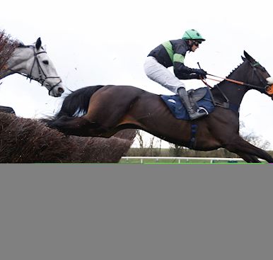 TRUSTATRADER PETERBOROUGH CHASE PREVIEW 