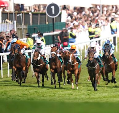 NAVELLO SPRINGS 25-1 SURPRISE IN £100,000 ASTON MARTIN ‘DASH’