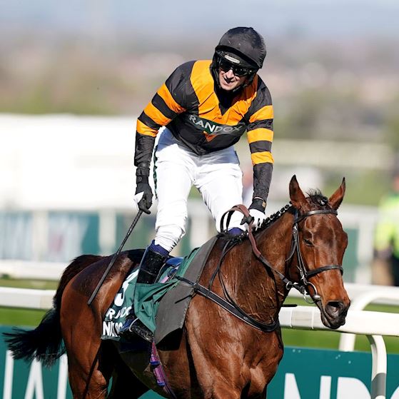 2025_Winner_Dual (1).jpg