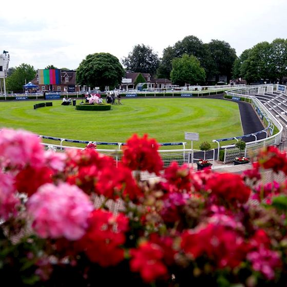 _MA26441 (1) (1).jpg