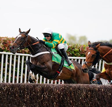 bet365 Jump Finale Timings