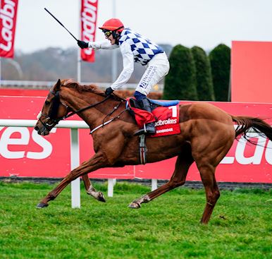 20 Entered For The Ladbrokes King George VI Chase