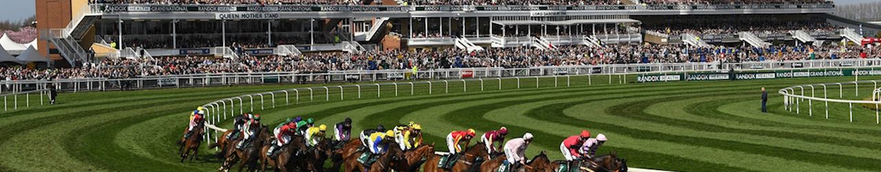 Aintree Terms & Conditions