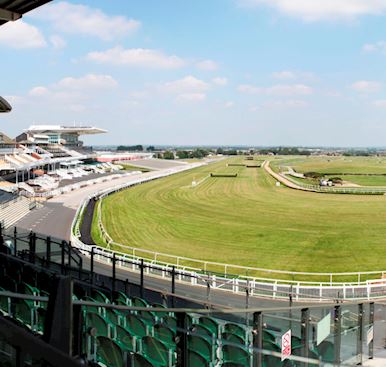 Terms and Conditions