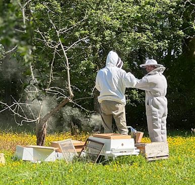 The Jockey Club Venues launches beekeeping project  to support biodiversity at Haydock Park
