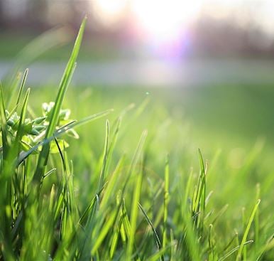 Exeter Racecourse launches Community Raceday & calls for Devon’s community heroes