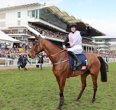 TURNERS NOVICES’ CHASE REACTION AND STATISTICS