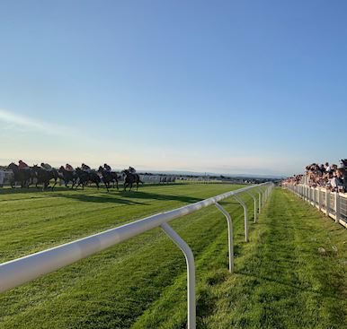 Carlisle Ladies Night Round Up