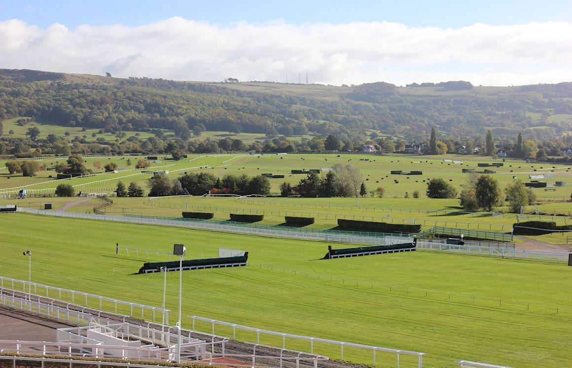 Sign Up to our Newsletter