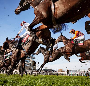 World class festivals