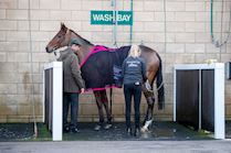 Cheltenham NYD 23-306.jpg