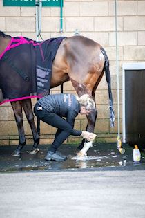 Cheltenham NYD 23-309.jpg