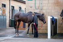 Cheltenham NYD 23-530.jpg