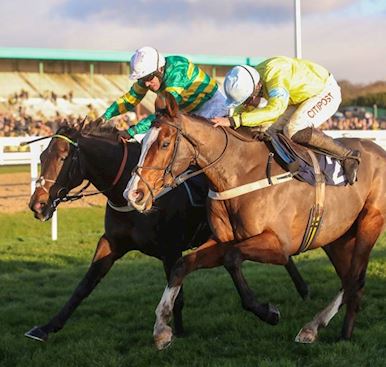 Thomson & Hammond targeting major prizes on Peter Marsh Chase Day at Haydock Park this Saturday
