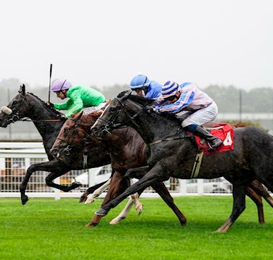 DAMBUSTER MAKES WINNING DEBUT