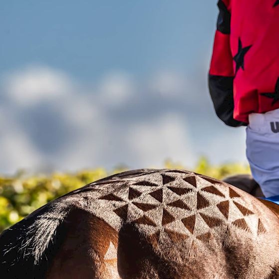 DualContent_2 (1).jpg