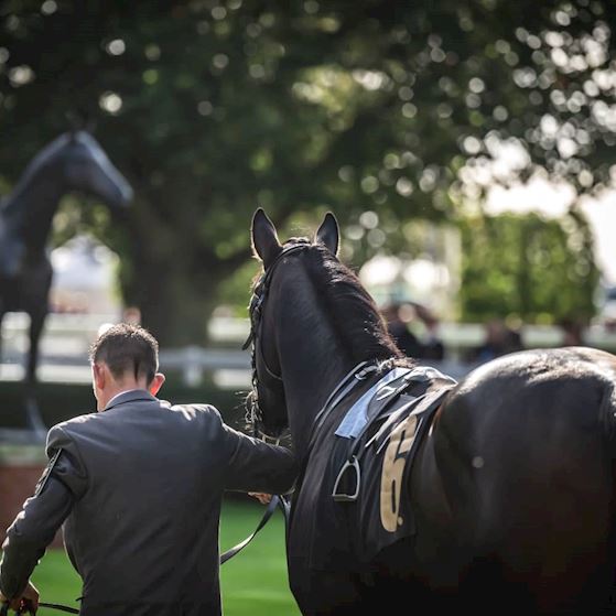 DualContentblock (1).jpg