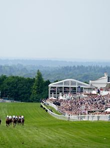 The Betfred Derby Enclosures