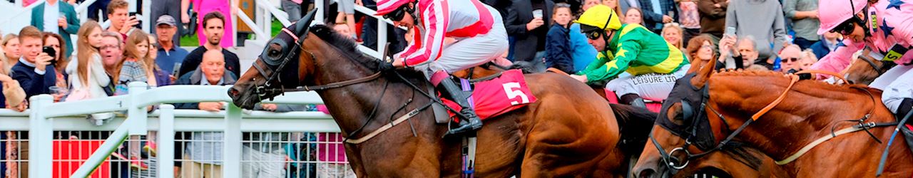 Contact Us at Epsom Downs