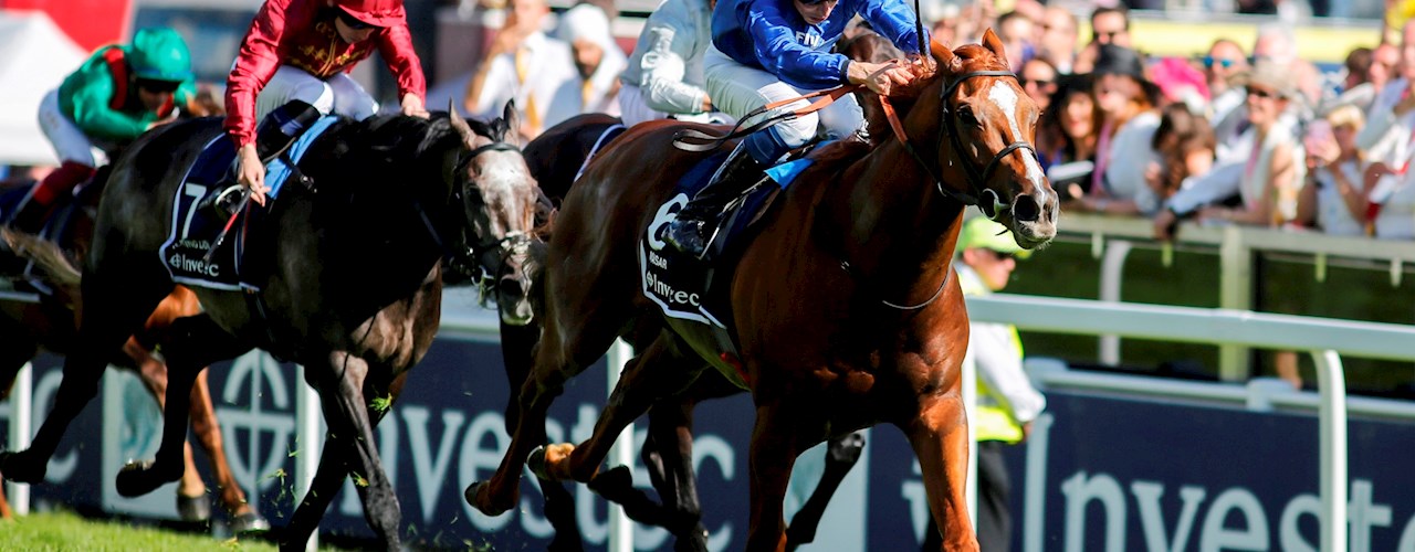 Epsom Downs Racecourse Committee Members