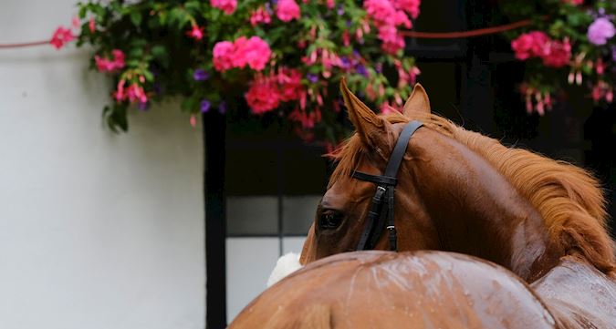 Members Hub - Latest News 