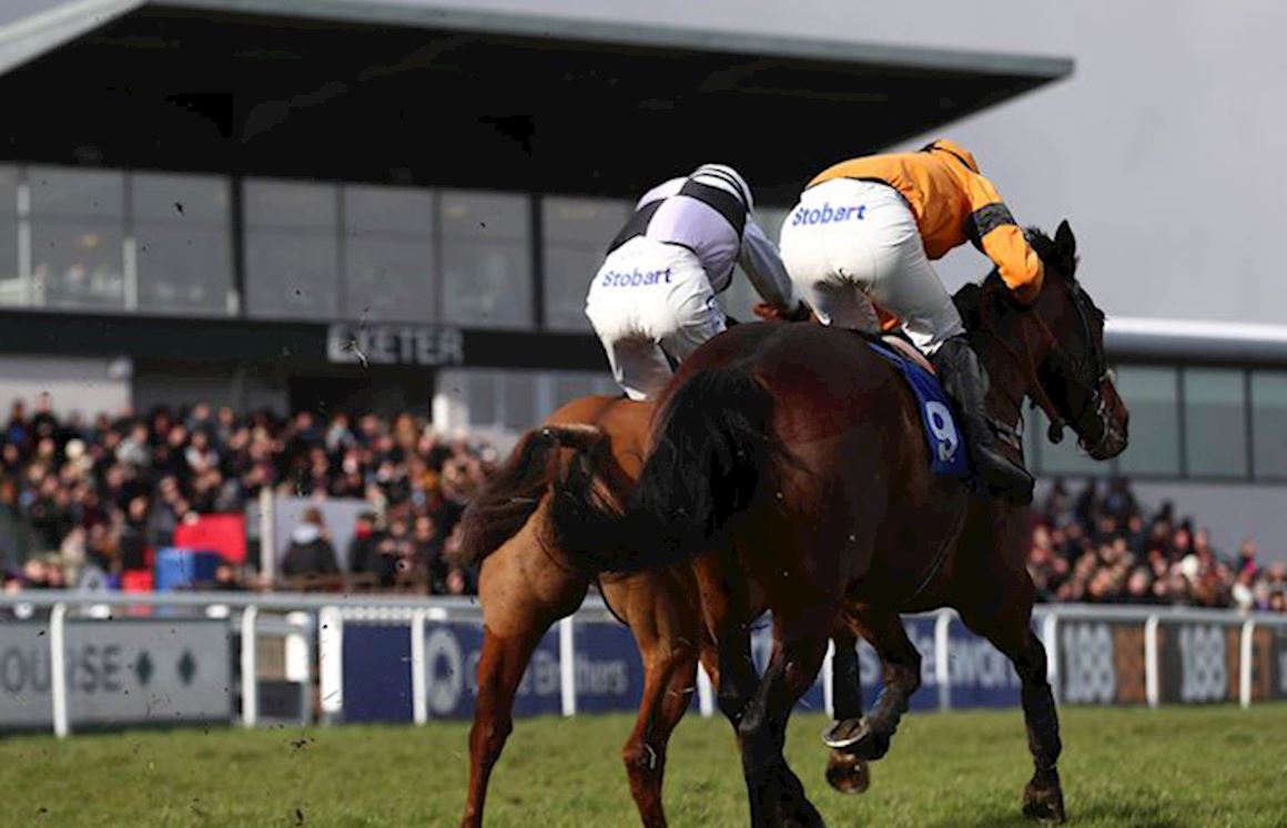 BADGE HOLDER ENQUIRY 