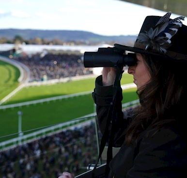 Facilities & Lunch Booking