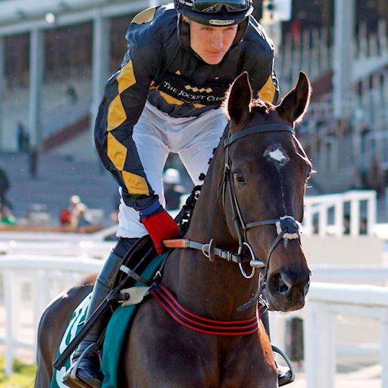 Flight_Of_Freedom Cheltenham.jpg