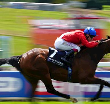 FORMAL START TO THE BETFRED DERBY FESTIVAL AS SHE LANDS SURREY STAKES 
