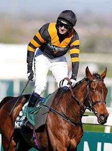 Past Grand National Winners