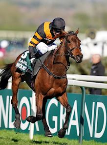 The Randox Grand National Festival