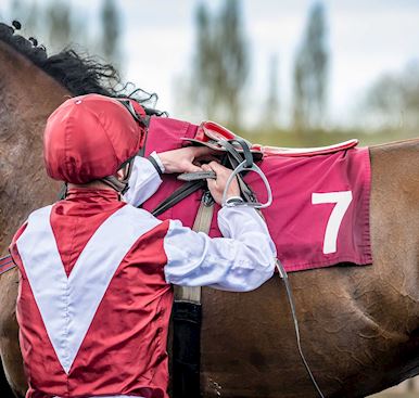 What's on at Haydock Park