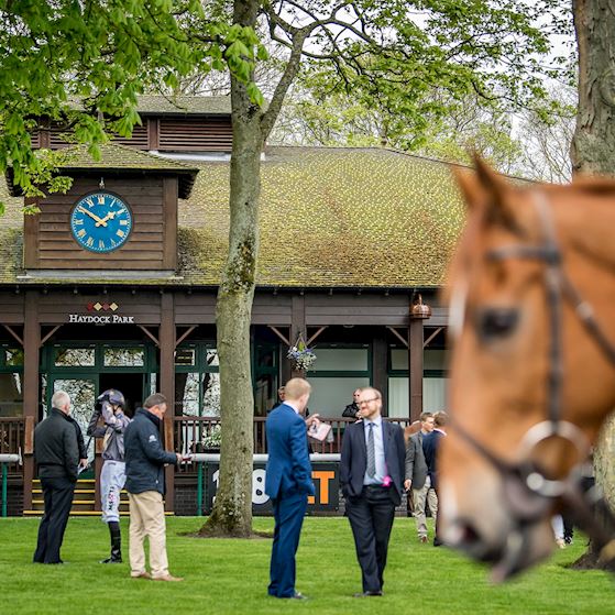 HAYDOCK_PARK_PARADE_RING.jpeg