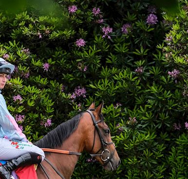 Refund & Abandonment Policy