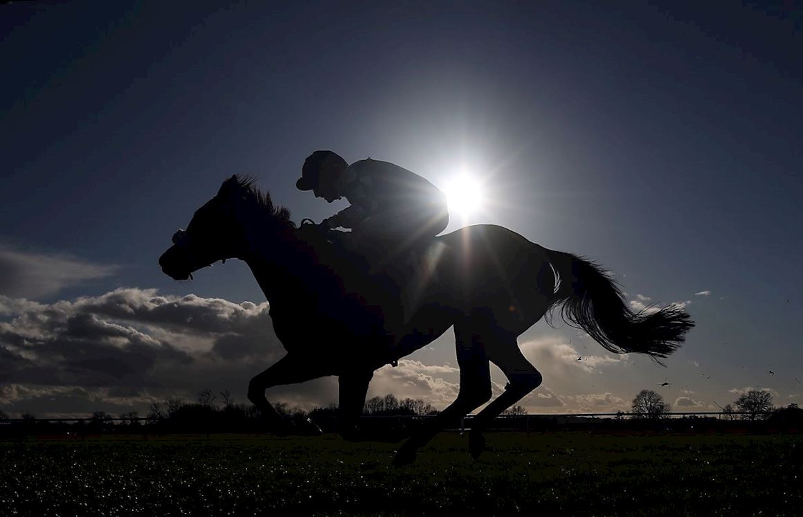 Huntingdon Annual Badges