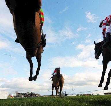 Frequently Asked Questions