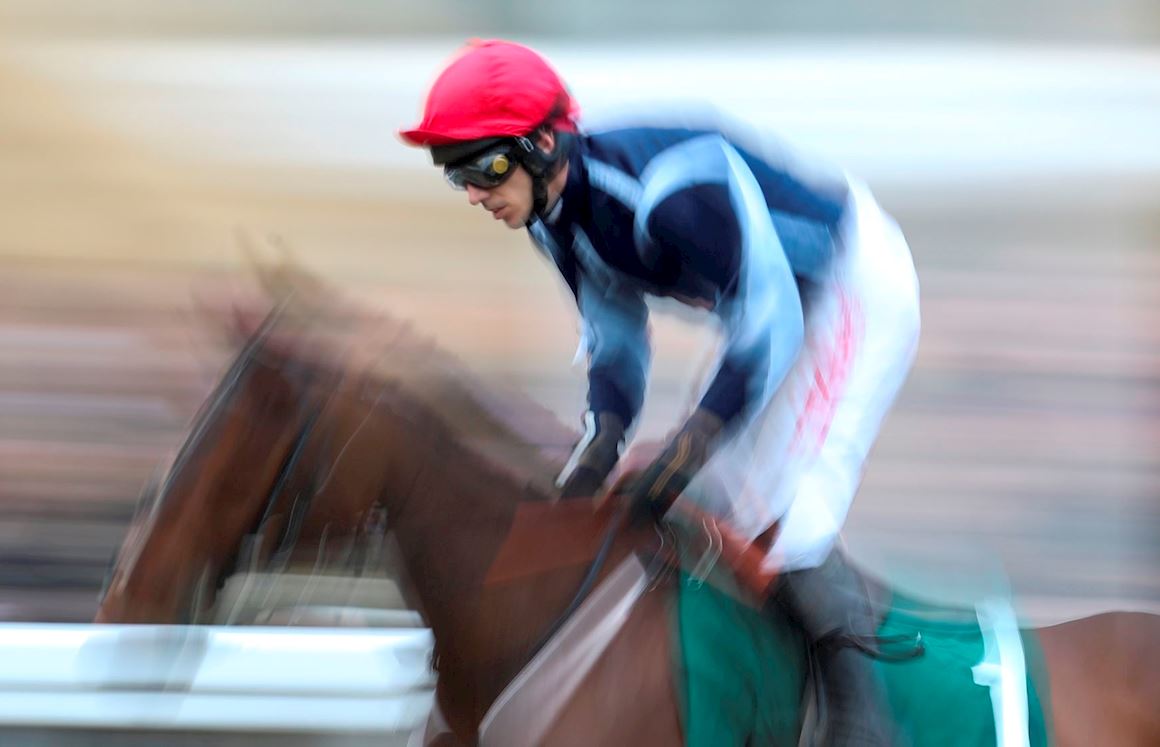 Our Sponsors & Partners