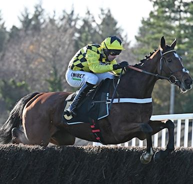 EXETER RACEDAY NEWS: LULAMBA MAKES PERFECT START OVER FENCES