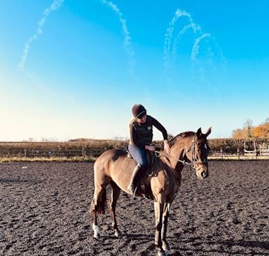Introdcing our Horses for Courses Ambassador…Hally’s Kitchen!
