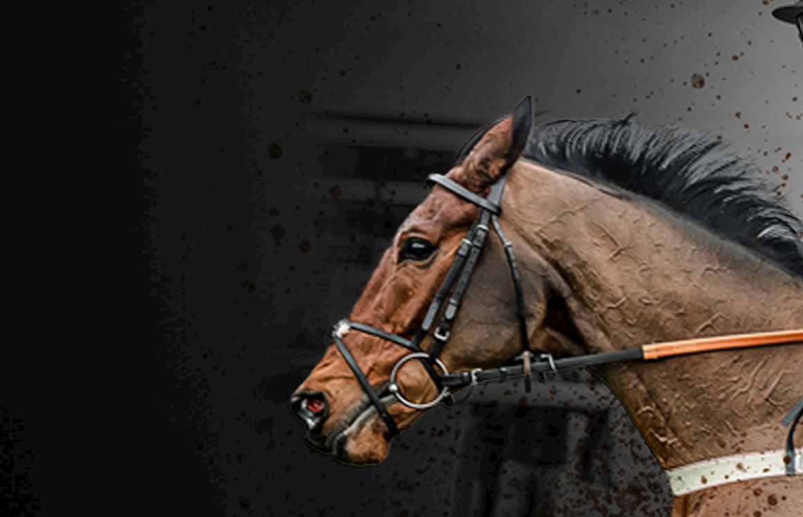 Signup for our Newsletter