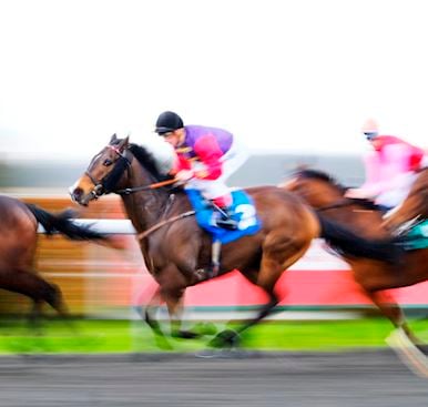 Kempton Park Membership