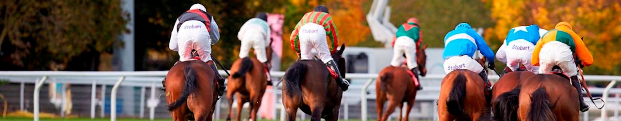 The Kempton Park Going