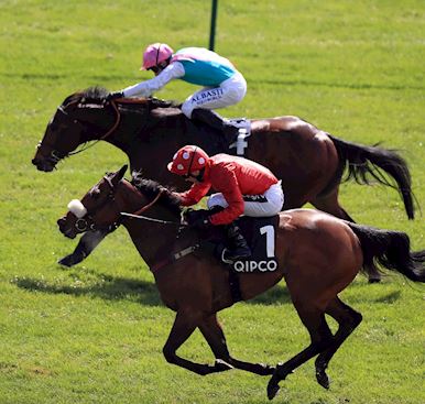 WIGAN’S David Armstrong predicts his star sprinter Mabs Cross can run another huge race in Friday’s 