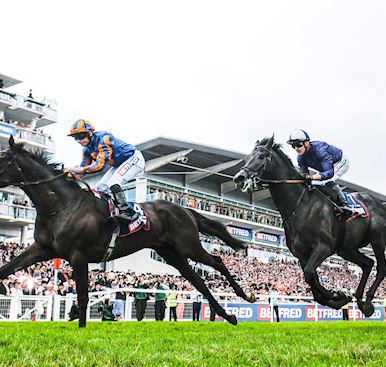 Epsom Downs Membership