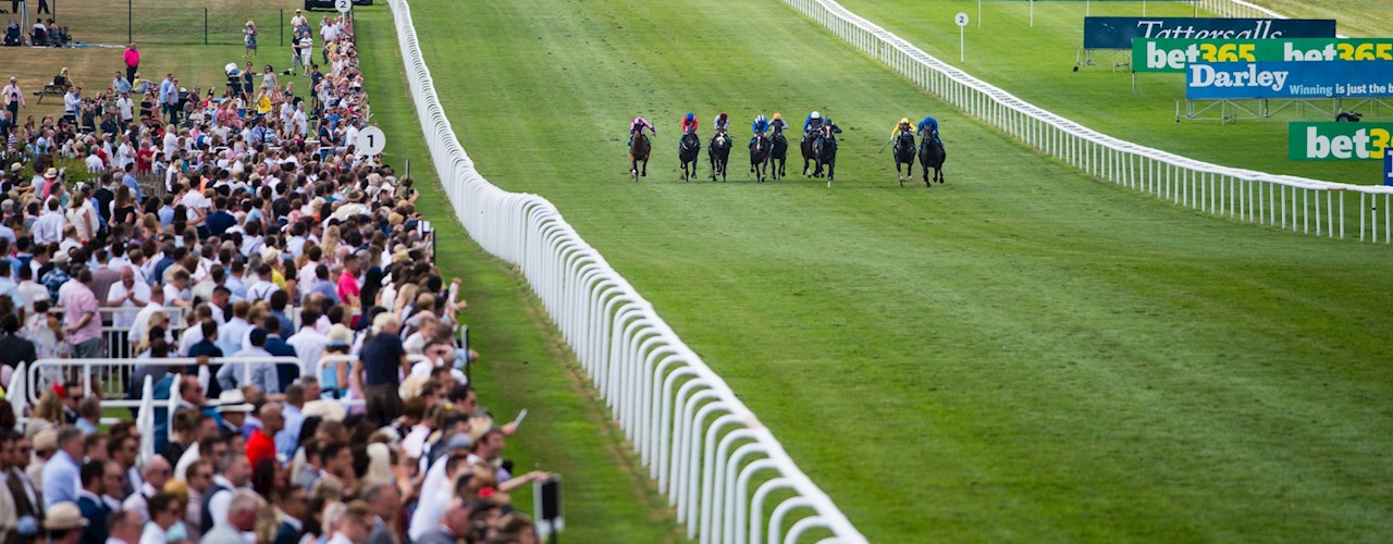 About Newmarket Racecourses