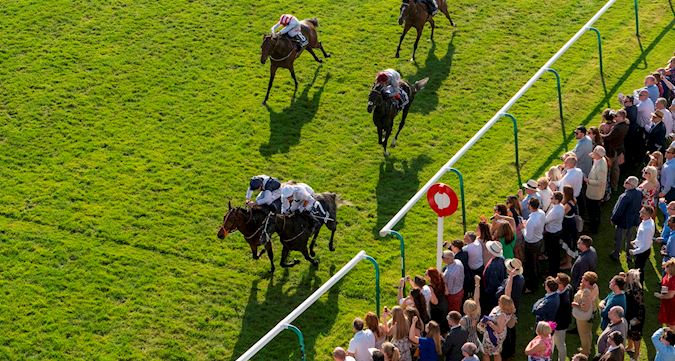 Newmarket Racecourses Annual Badges
