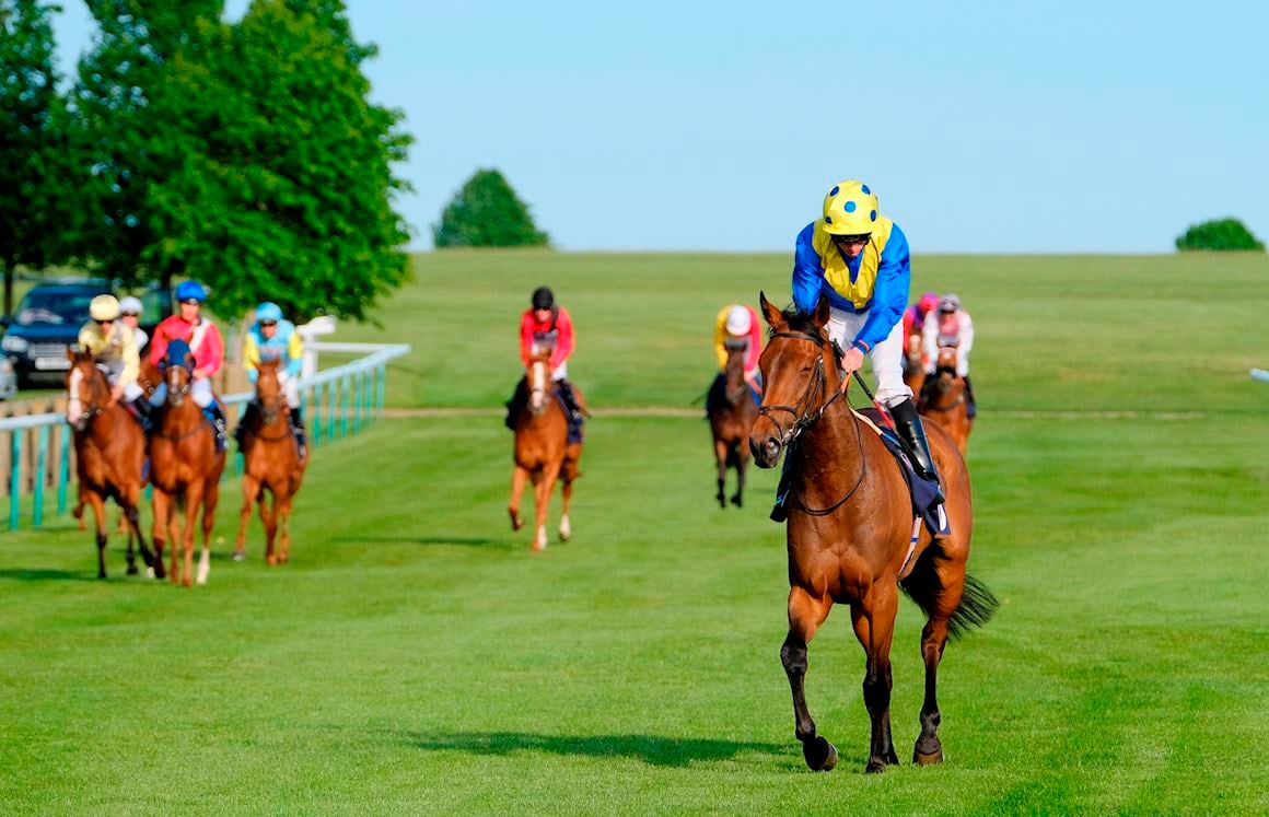 Sign up to our newsletter