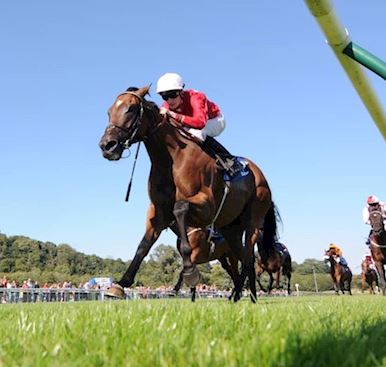 £9 ADMISSION IN 2025!